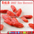 frozen fruits goji berry plants blushwood berry dragon fruit